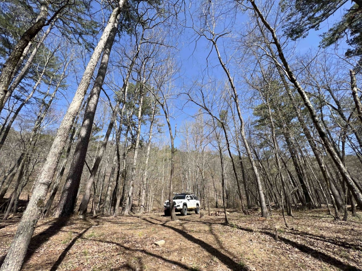 Posey Hollow 76 photo 6