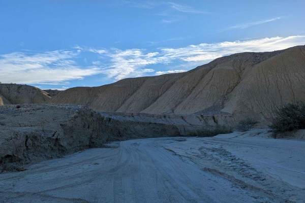 Lycium Wash