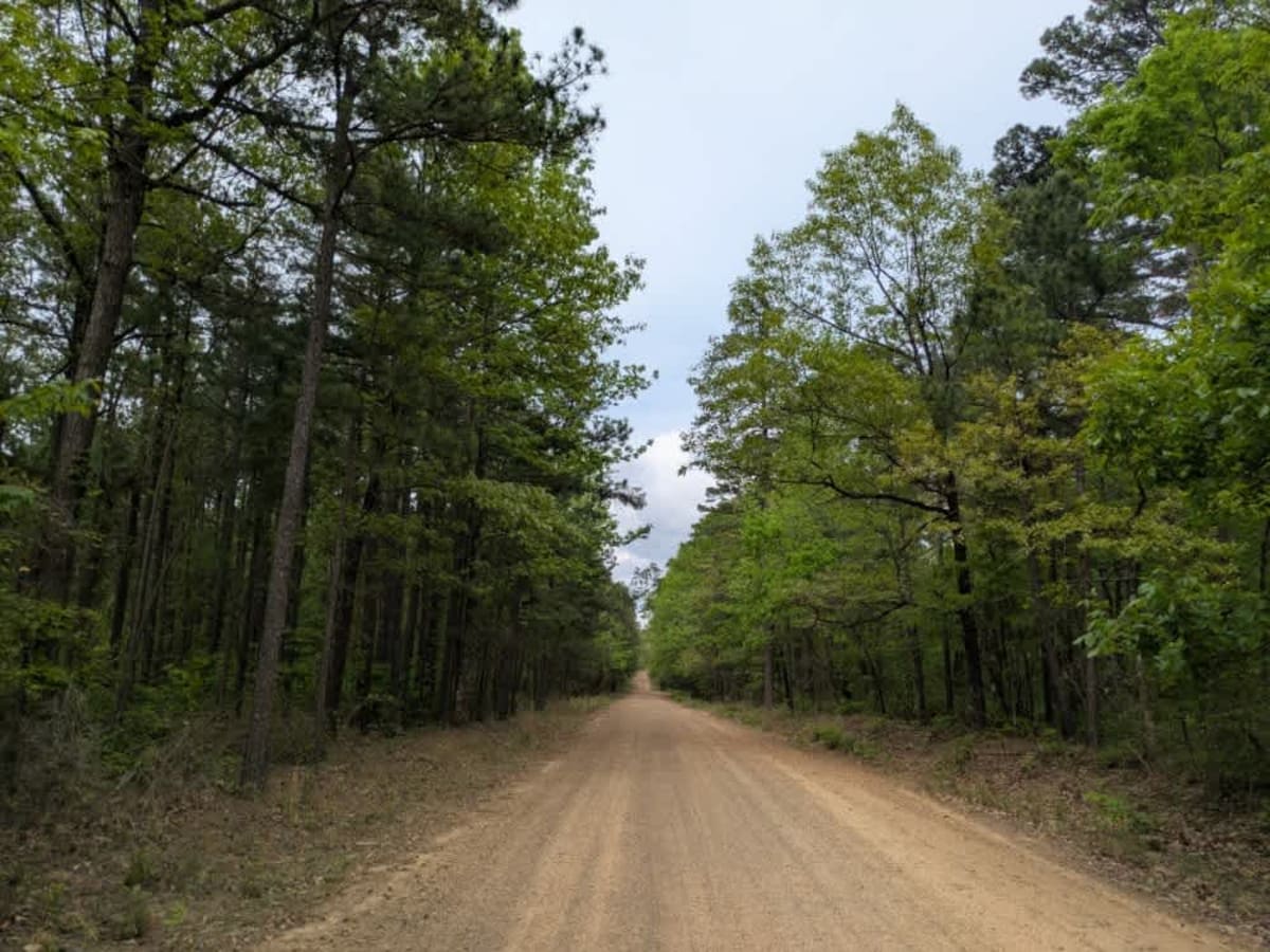 Eickleberry Road photo 5