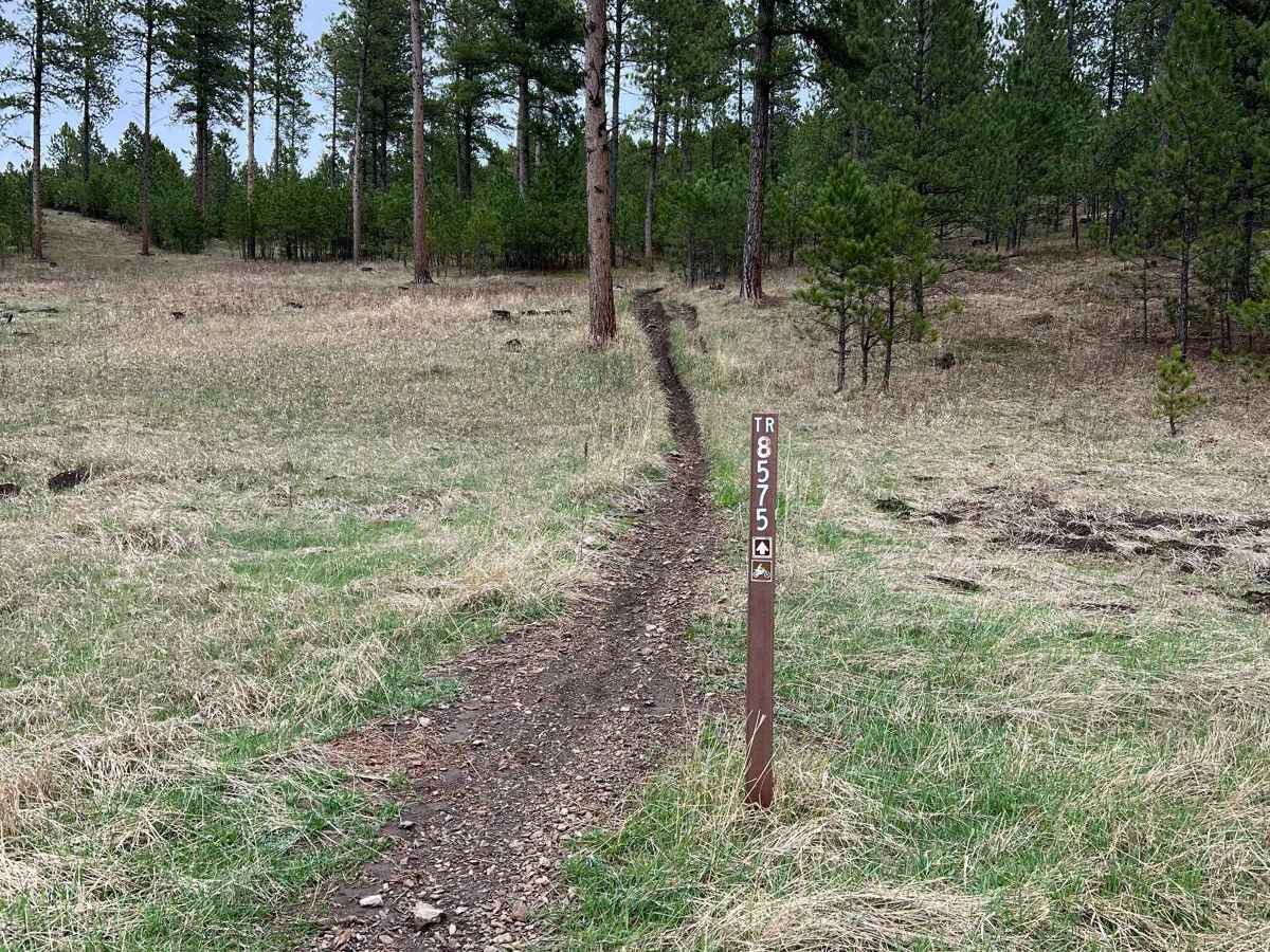 Crystal Mount Single Track trail photo