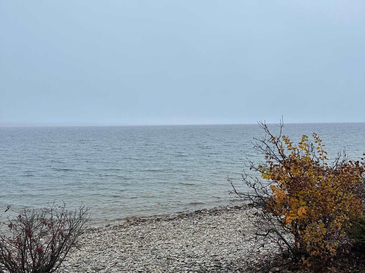 Shale Beach photo 6