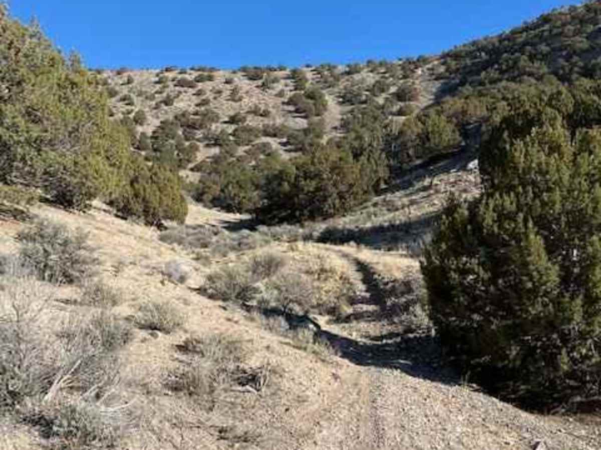 Rib Cage Canyon Go-Around photo 5