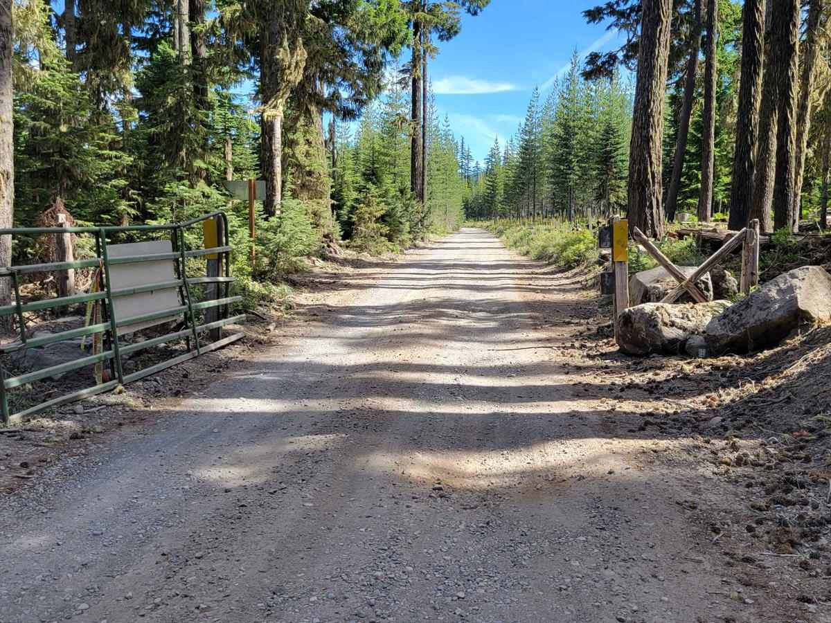 Skyline Road/Olallie Lake - FR 4220 photo 2