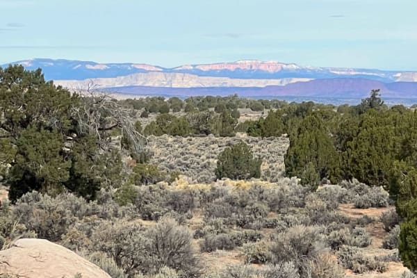 Red Pockets Road & Poverty Cabin (1081)