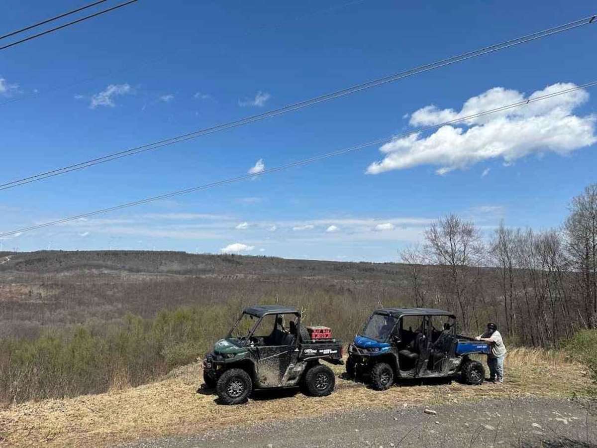 Ashland 41 photo 3