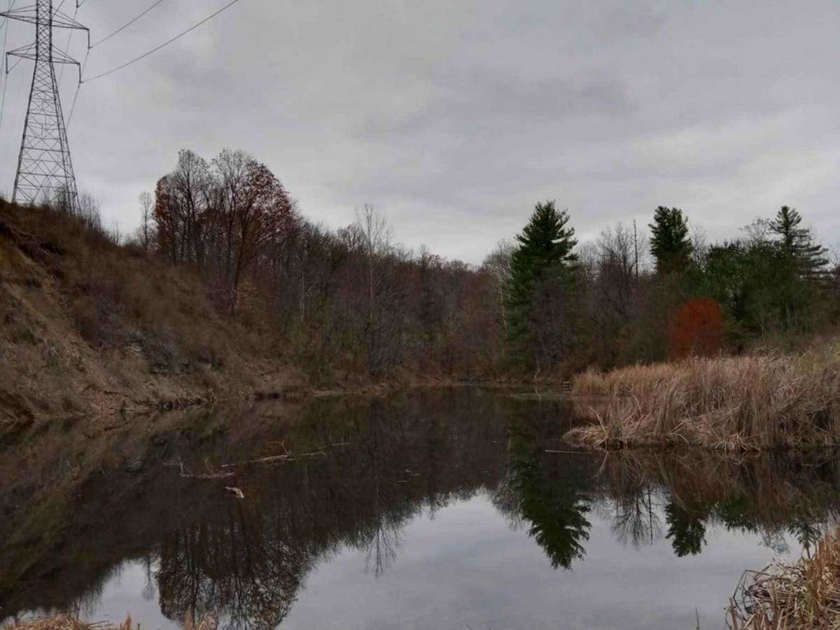 Land between the ponds photo 3