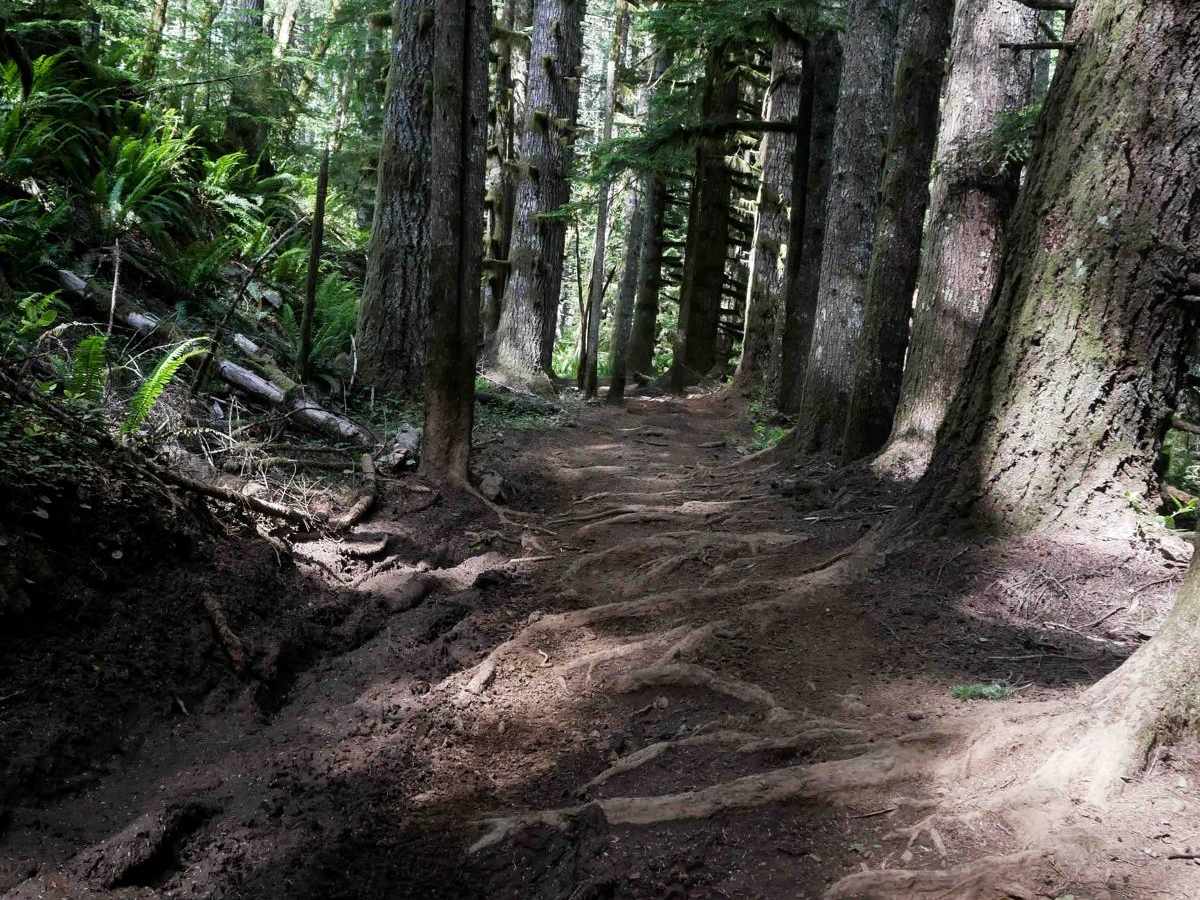 Tuck and Roll trail photo