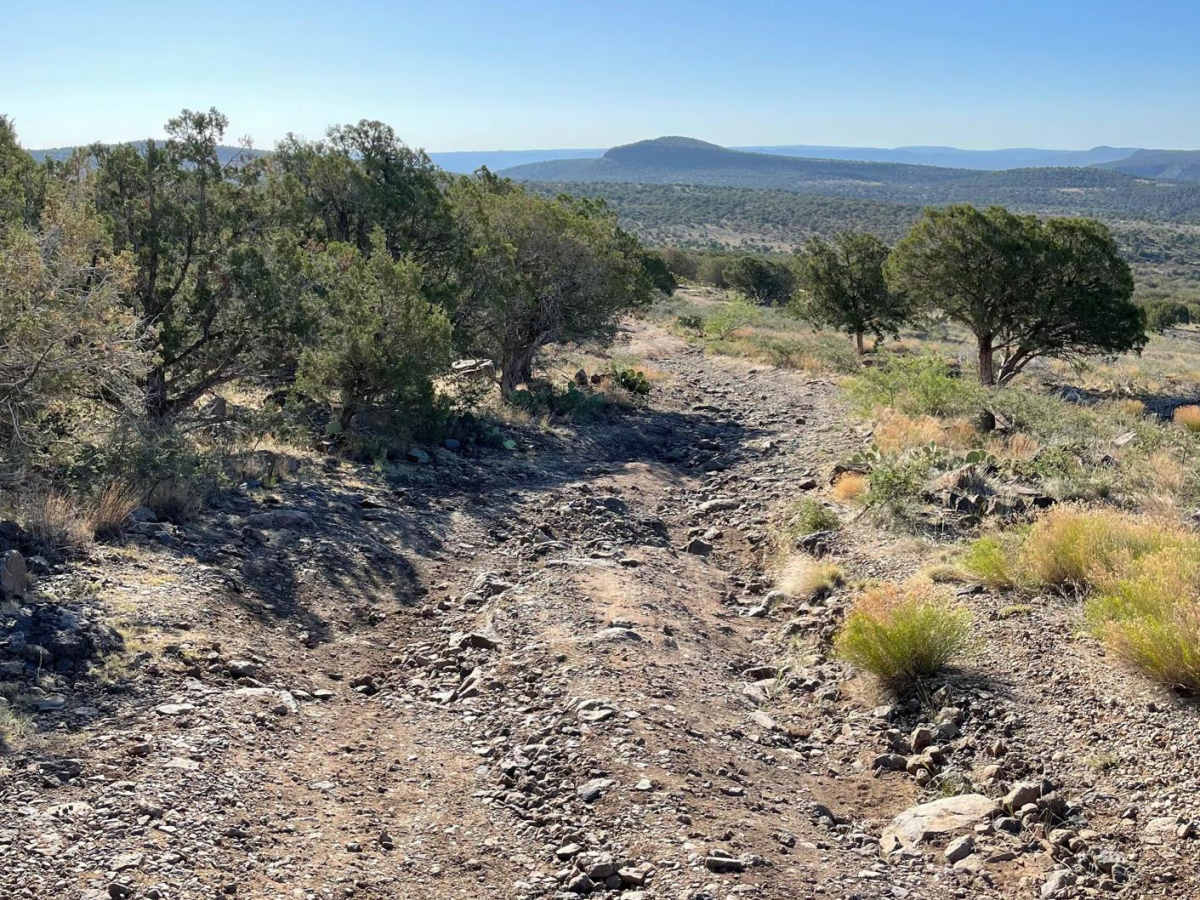 Cell Tower Side Road trail photo