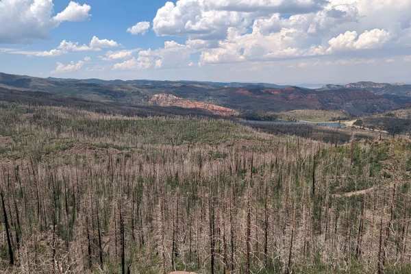 Markagunt Plateau-Clear Creek FS 30050