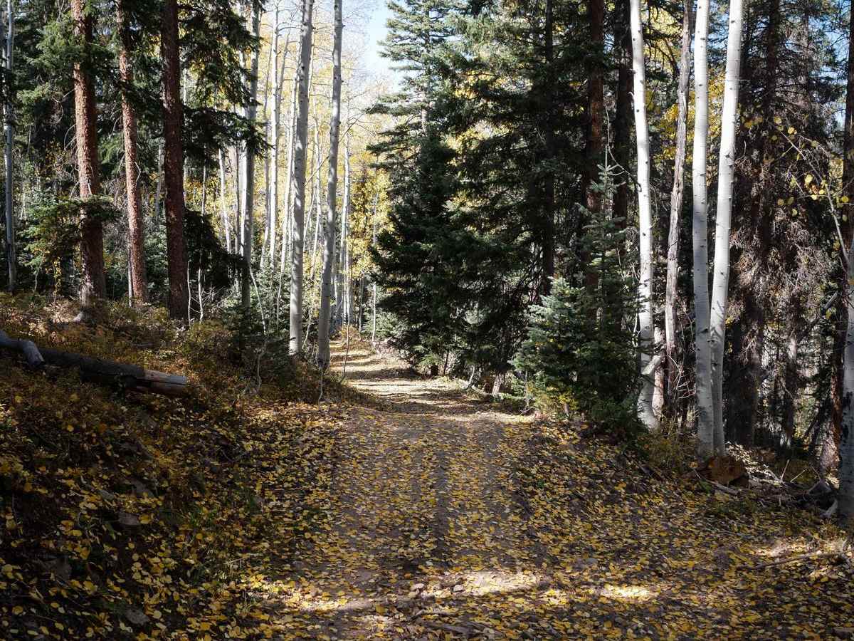 Dry Creek ATV Spur trail photo