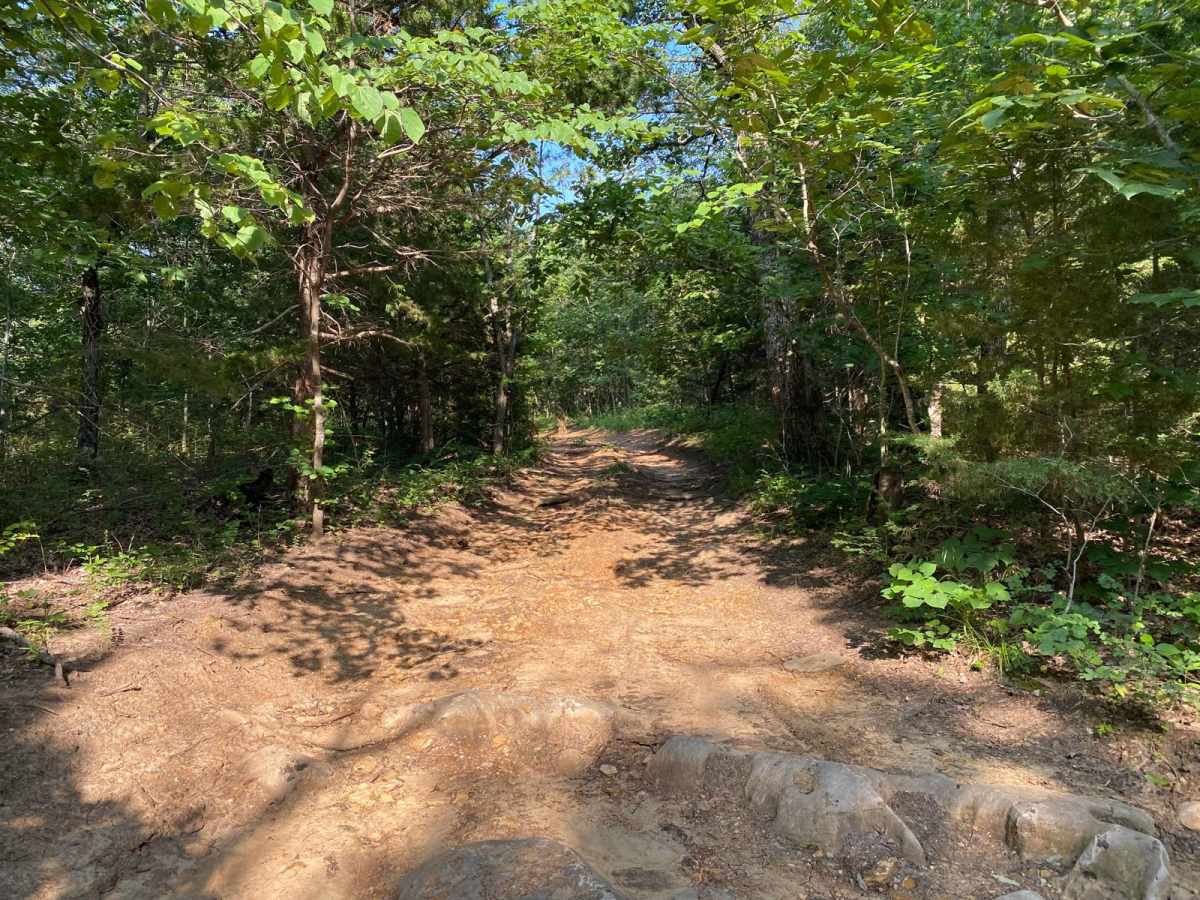 Wagon Trail Connector trail photo