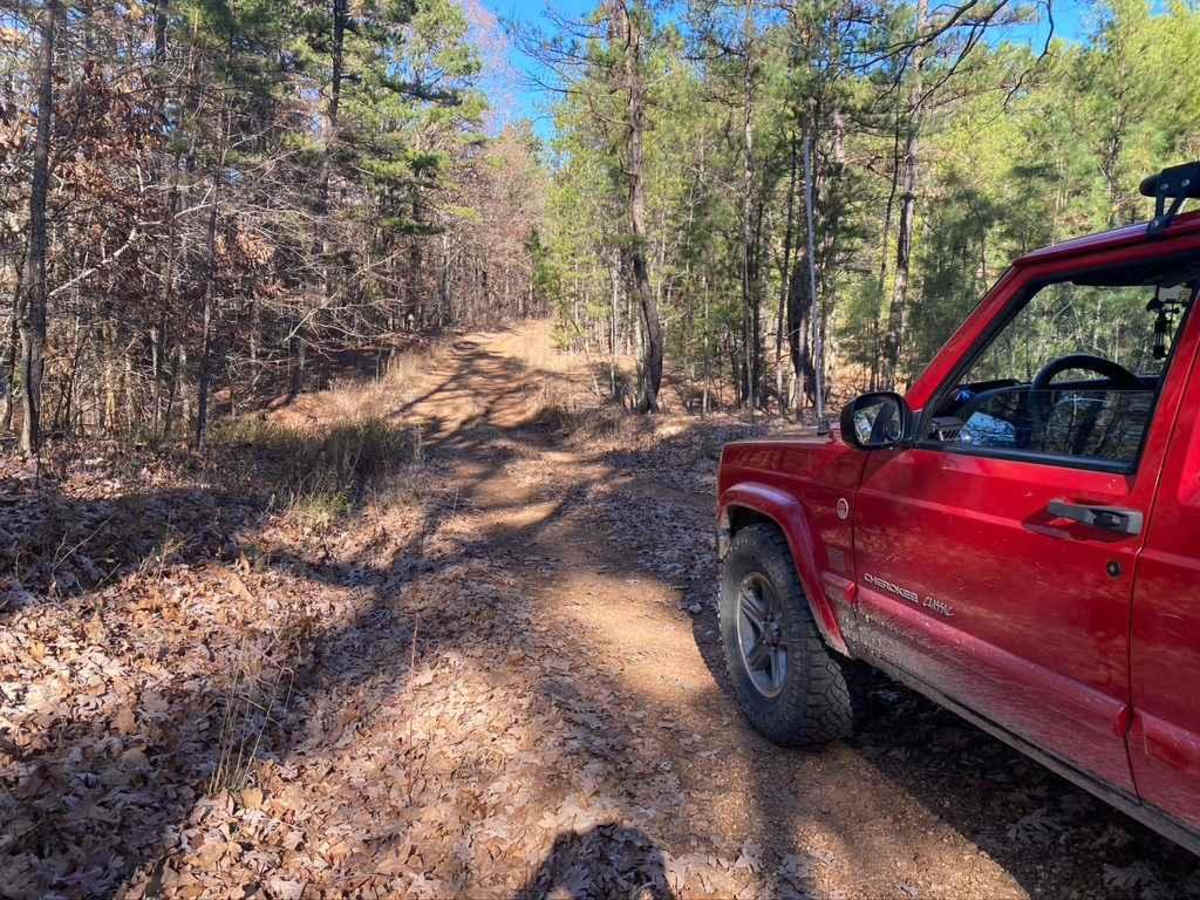 Bee Ridge FSR 3844/3844C photo 3