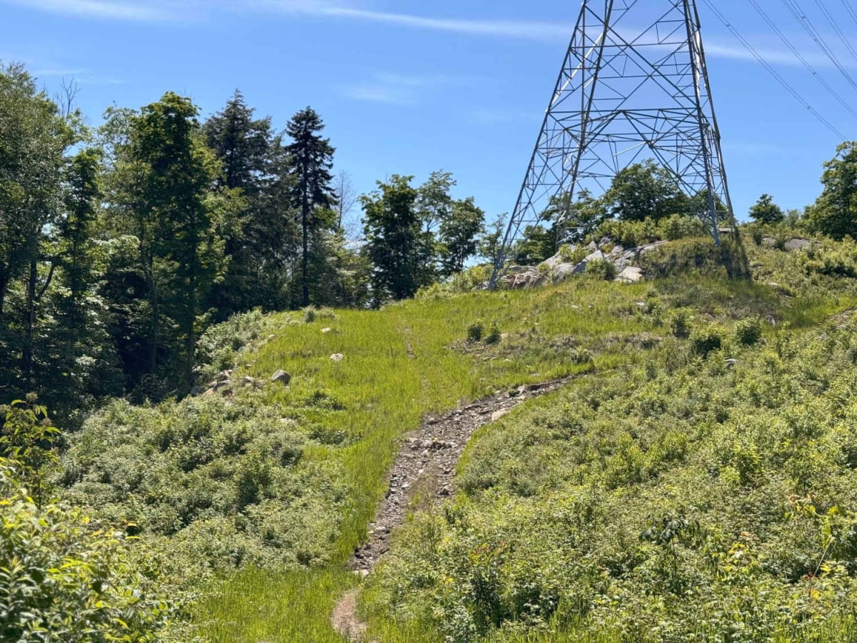Scenic Powerline Trail 1 trail photo