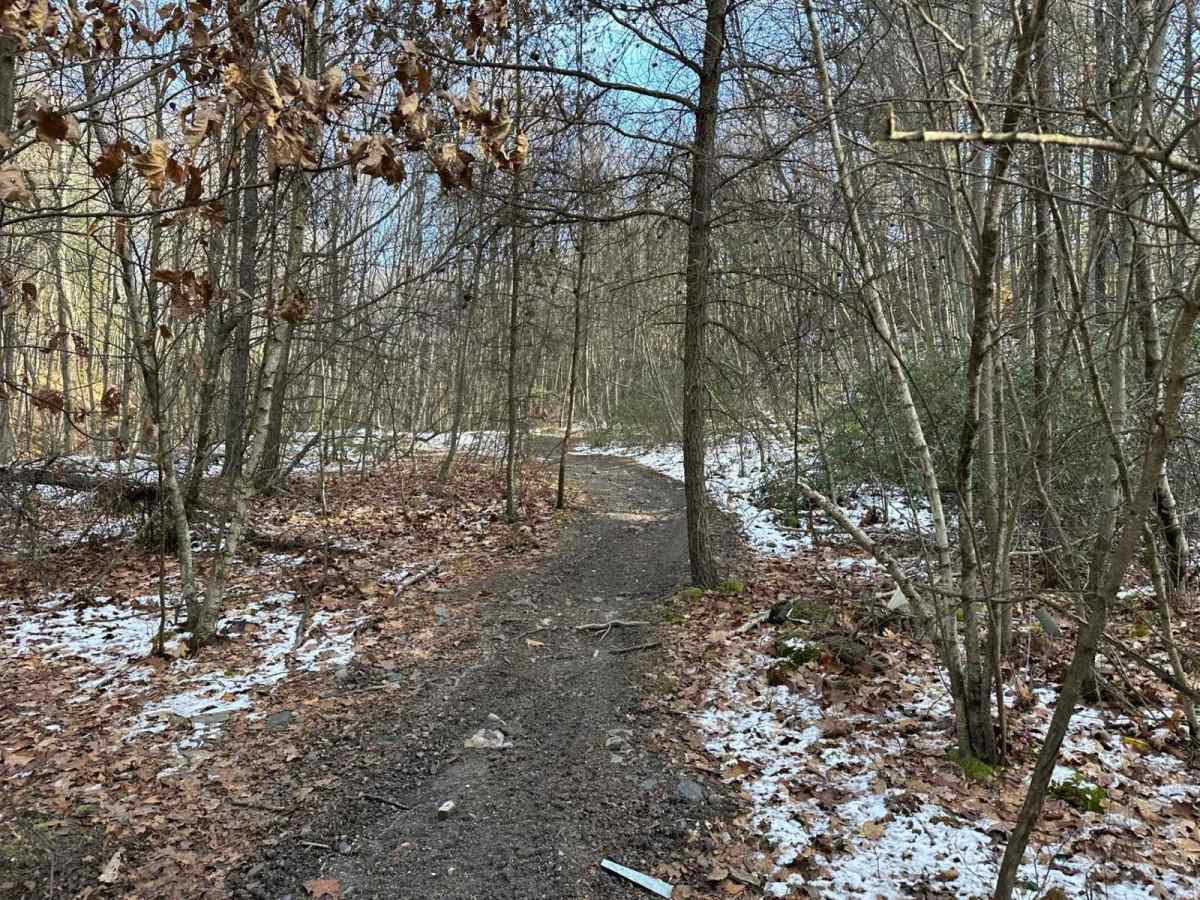 Locust Gap Single Track 1 trail photo