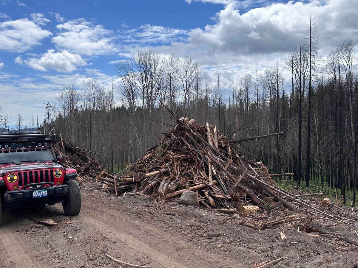 New Fire Road photo 5