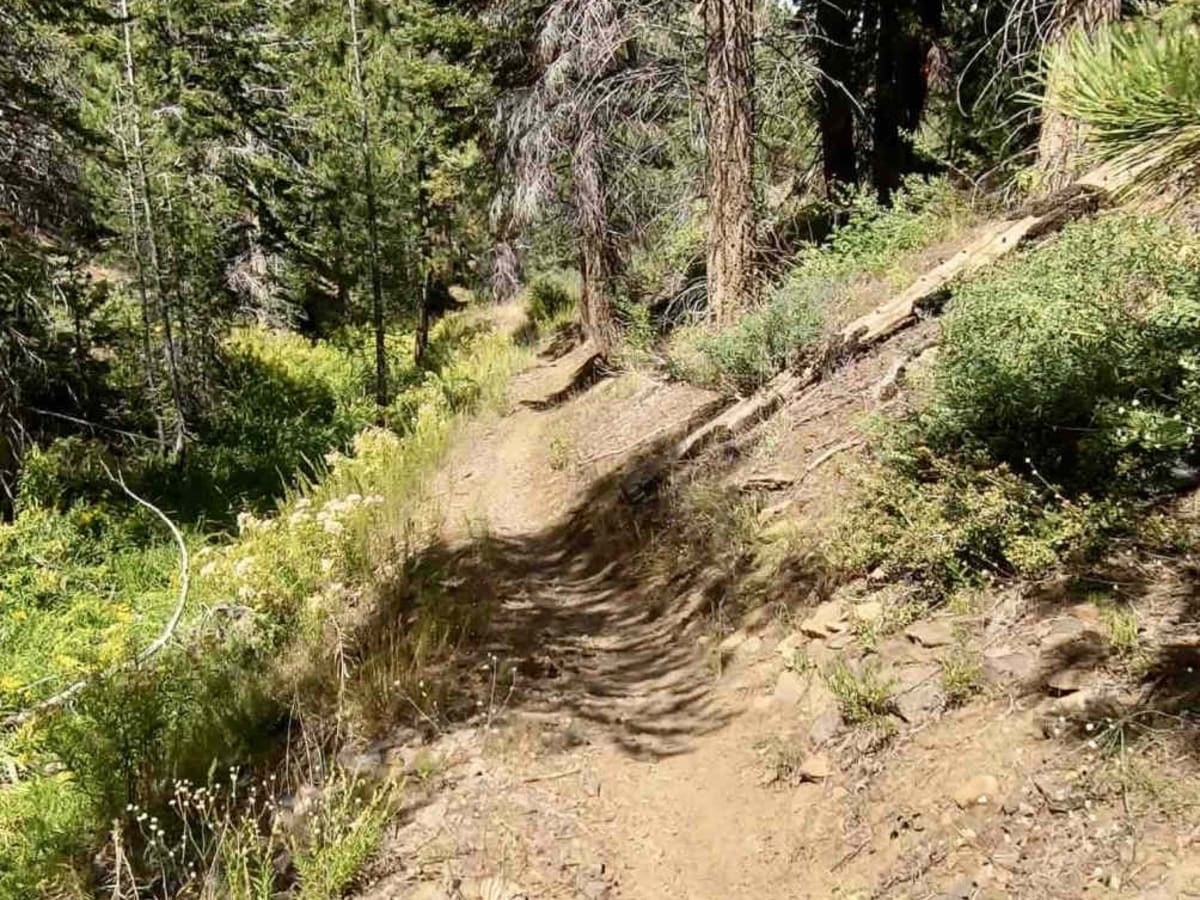 Rattlesnake Creek photo 3