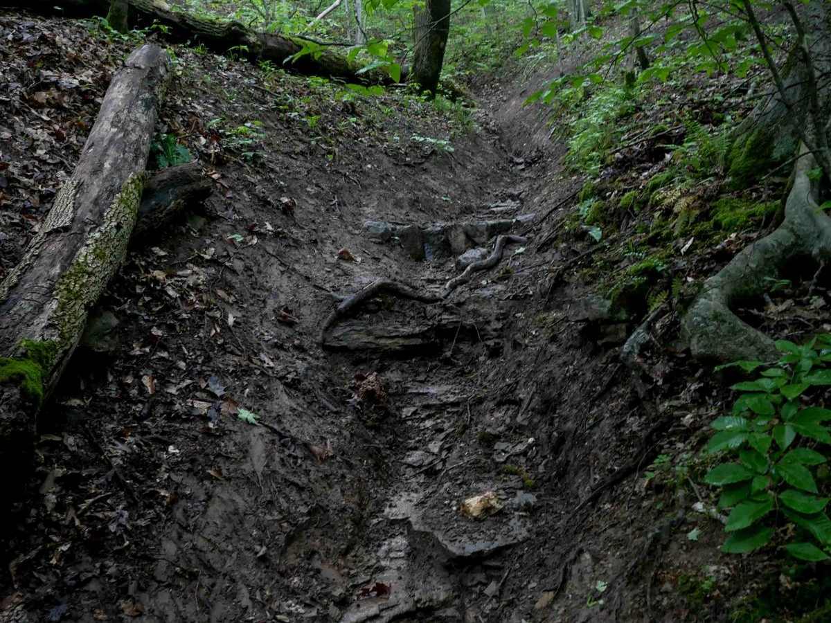 T68 trail photo