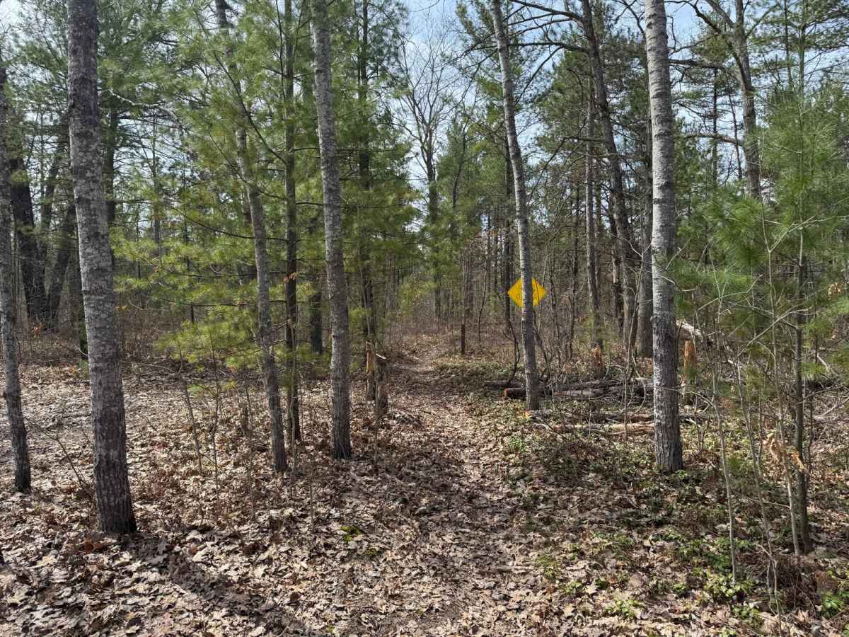 Grand Traverse West Spur trail photo