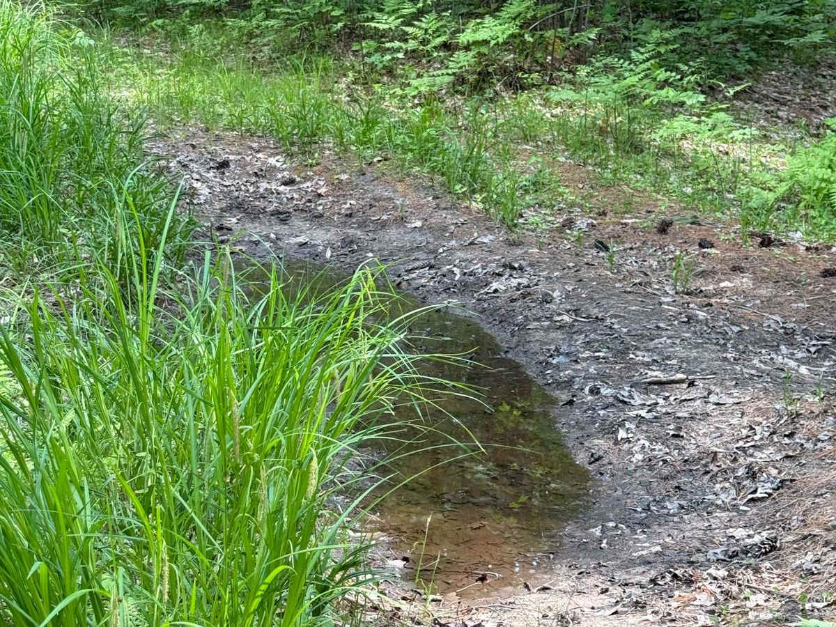 Camp Trail photo 6