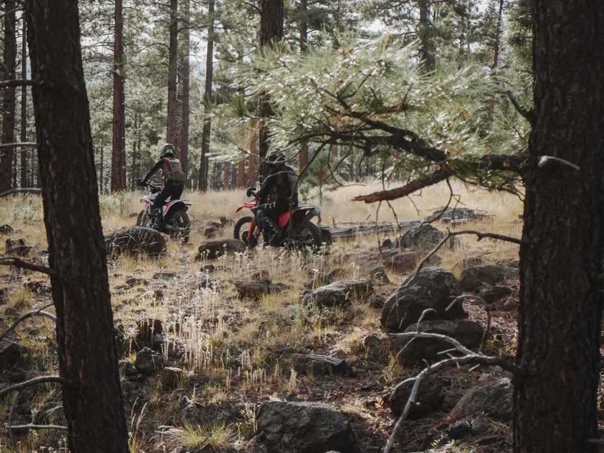Rocky Moto photo 5