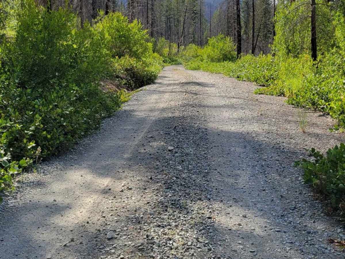 Eagle Creek Trailhead - FR 4420 80 photo 3