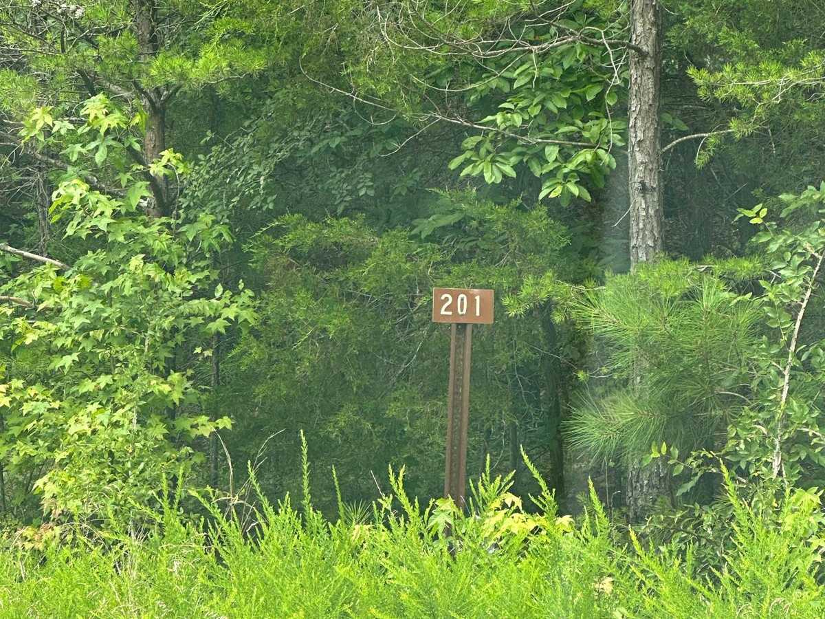 FS - 201 trail photo
