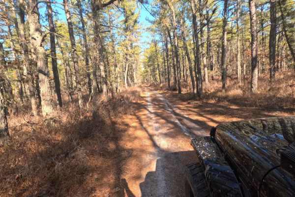 Mount Sandy Ridge Road