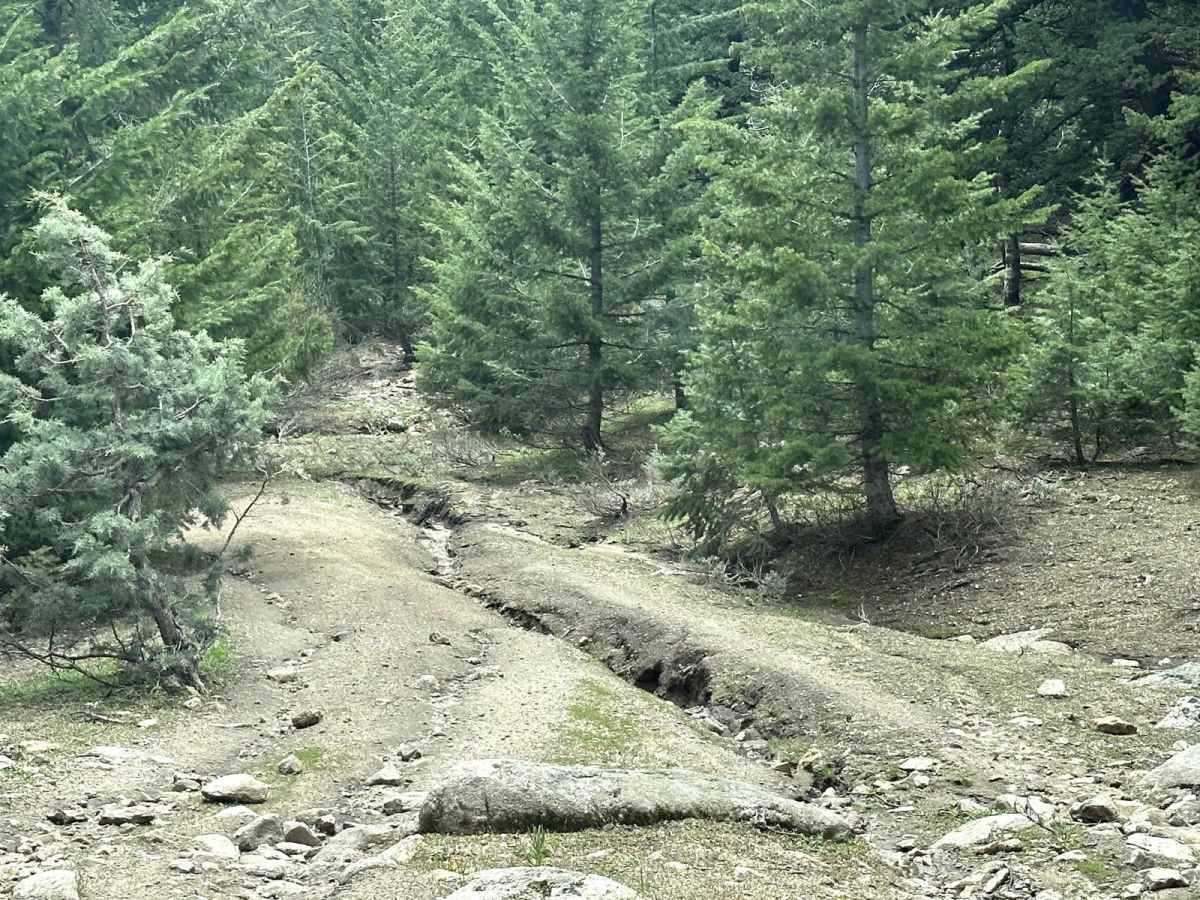 Presby Creek Trail photo 6