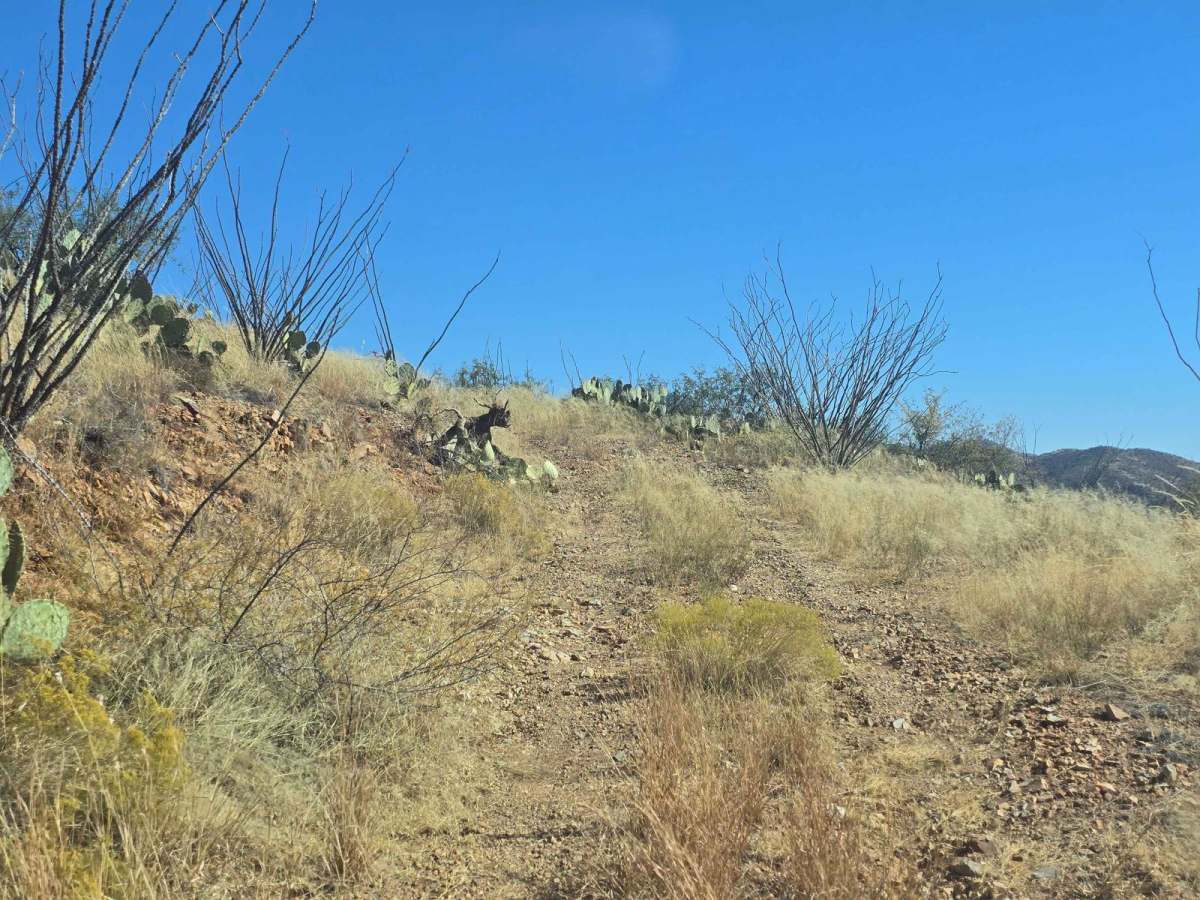 San Luis Mine Trail photo 6