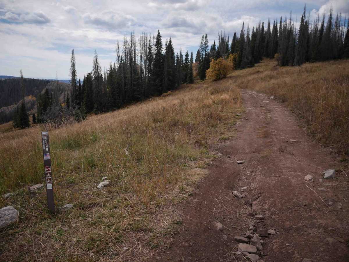 Runlett ATV photo 6