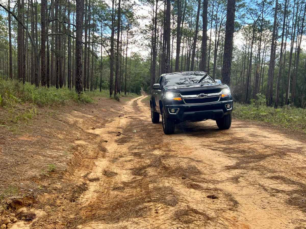 Crooms Wildlife Management | Trail 8 photo 5