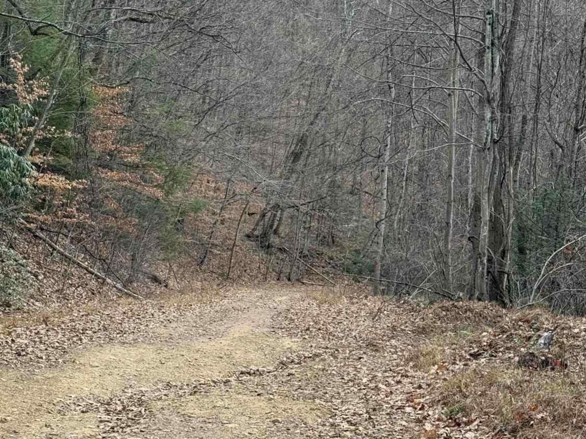 Spruce Run Road trail photo