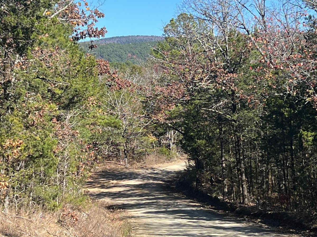 Muse trail photo