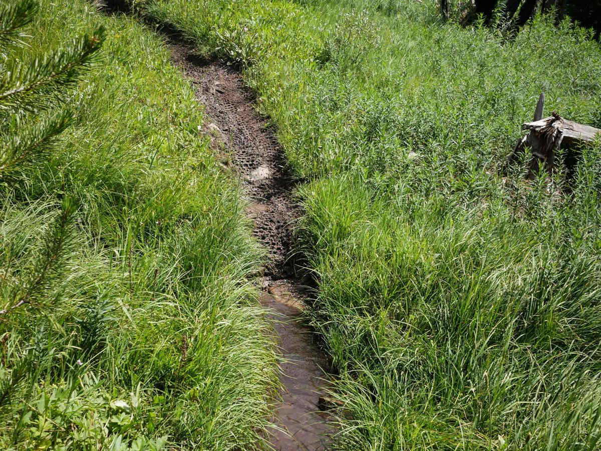 Basin Butte - Prospect Creek photo 3