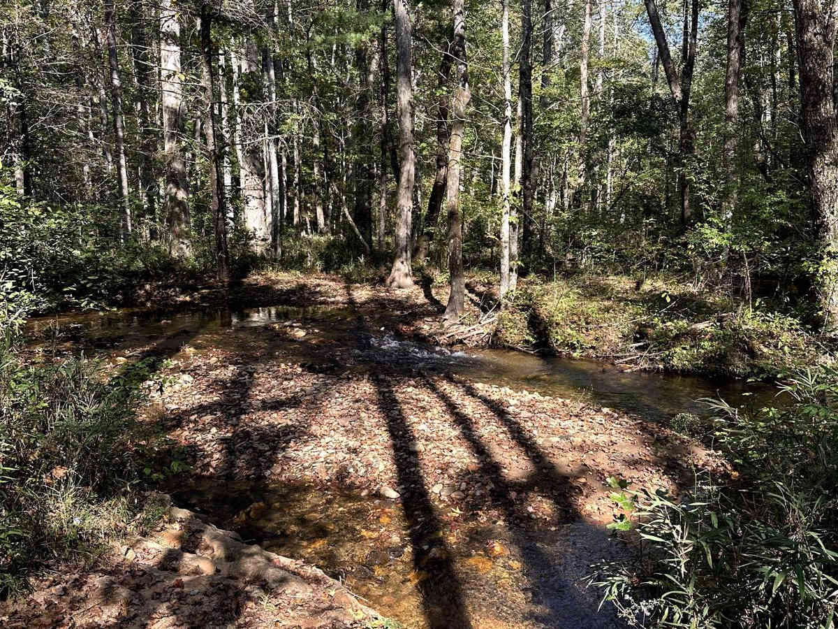 Little Rock Creek - FS 249 photo 4