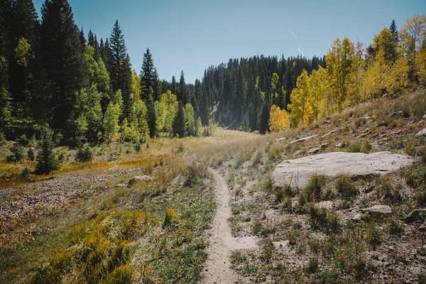 Little Red Trail
