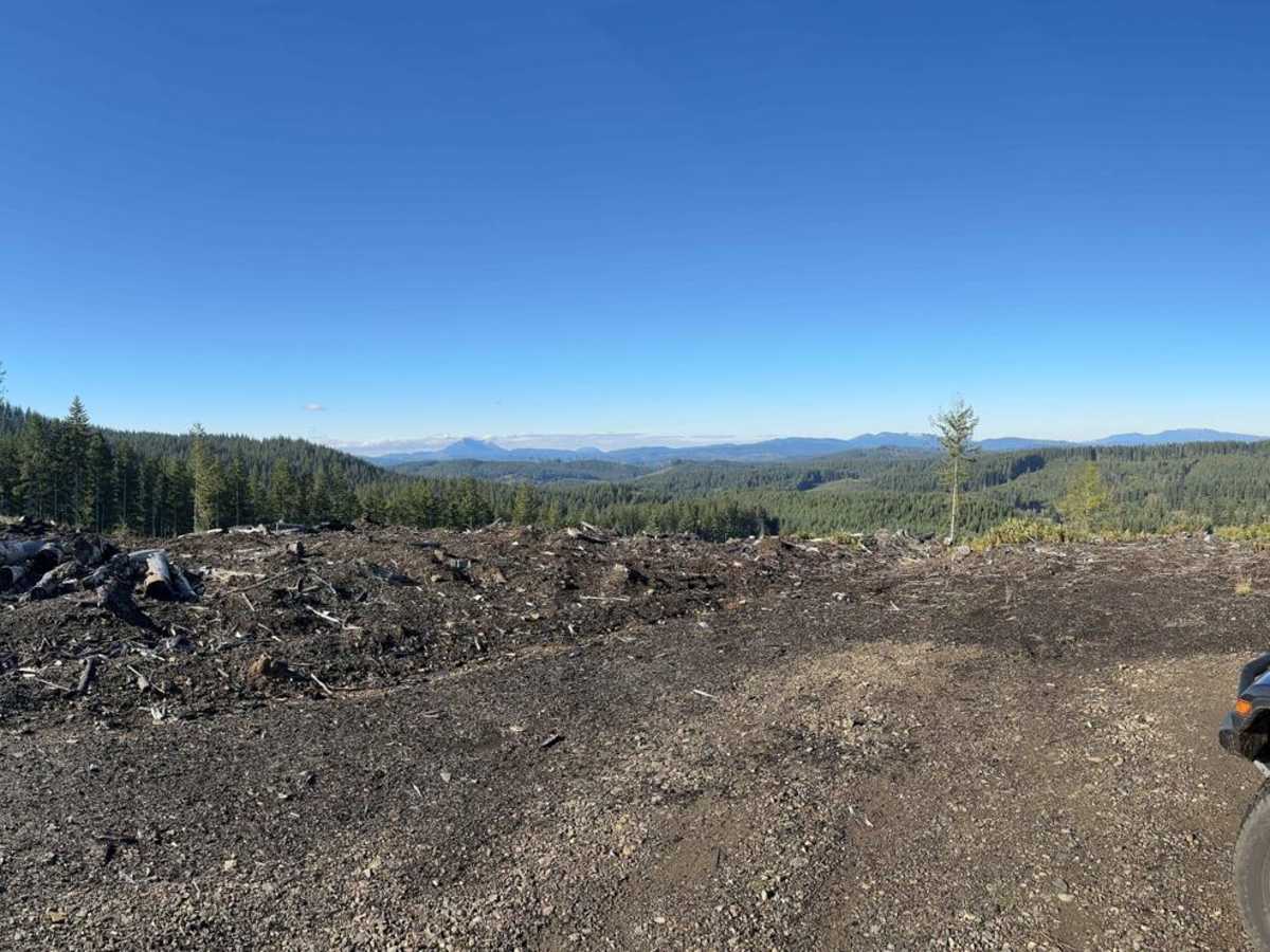 Wage to Walker Ridge photo 5