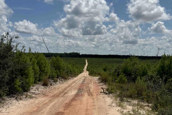 Lam Horse Trail - ONF 22-0.3A