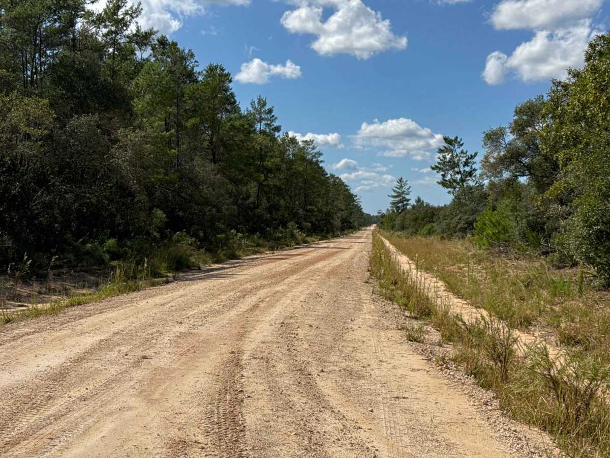 Old Astor Park - ONF 30 trail photo