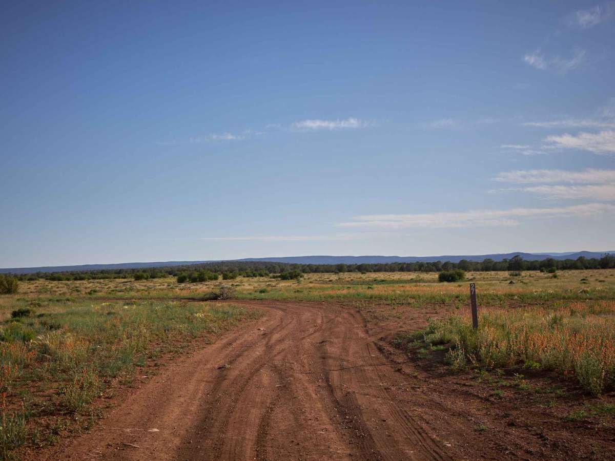 Prairie Blast / FR 27 photo 2