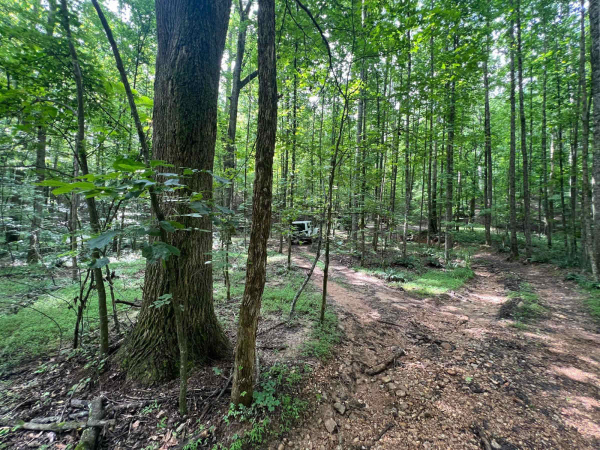 Turkey Bay OHV 7209 photo 6