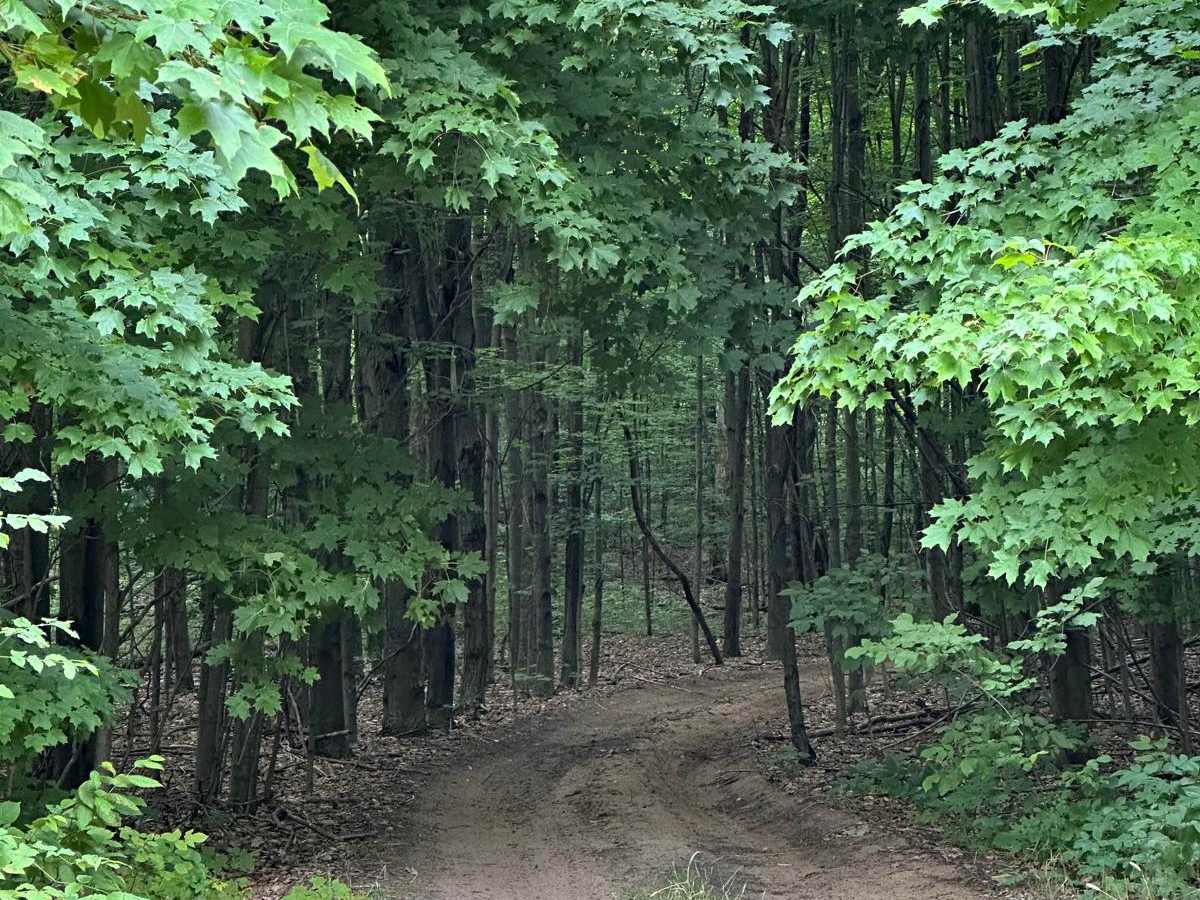 Milnichol Loop trail photo