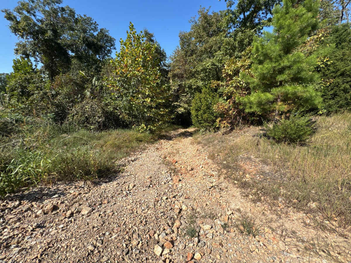 Red 7 trail photo