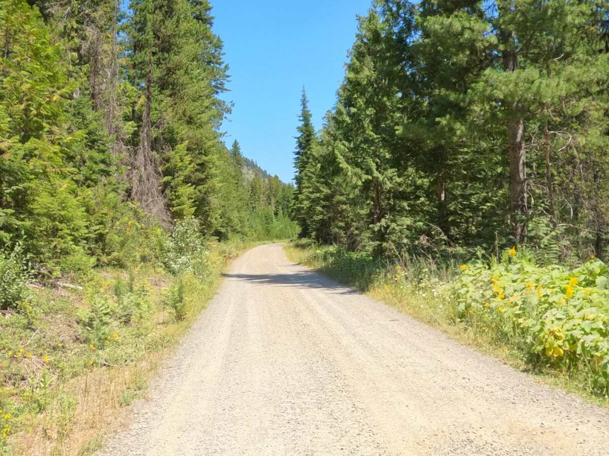 Moore Lake-St.Regis photo 3
