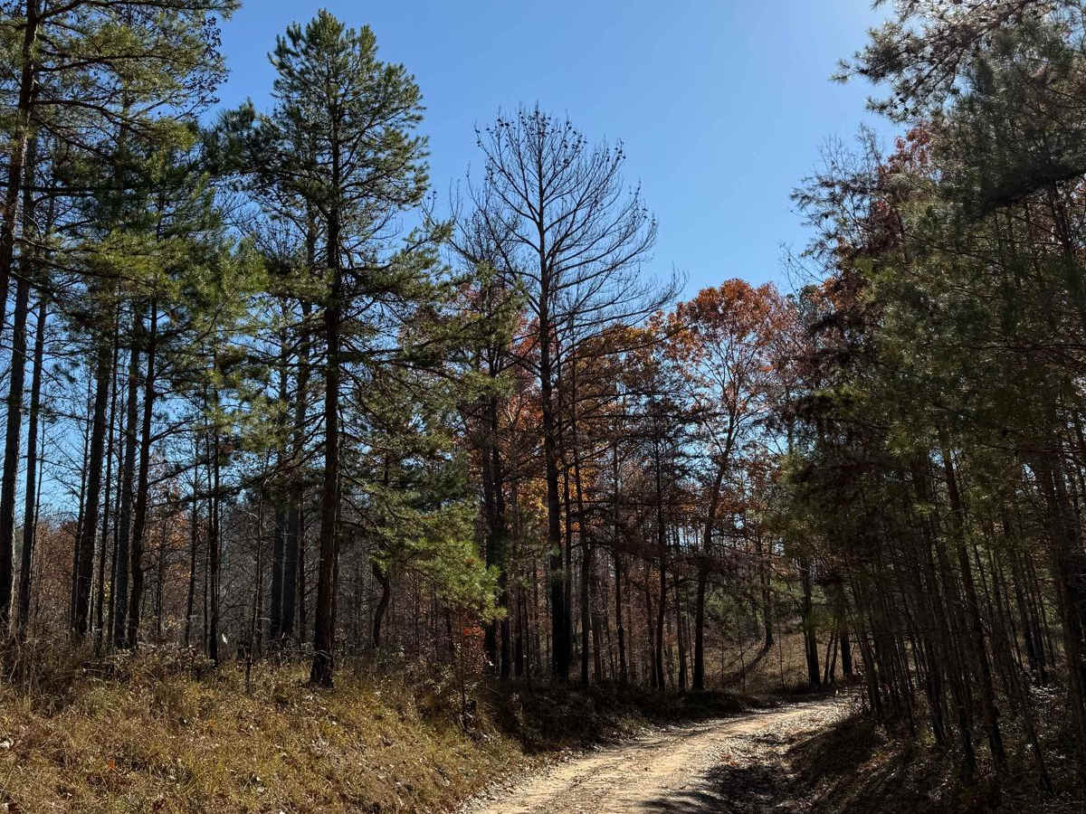 Wilbur Ford Road - FS 109A photo 2