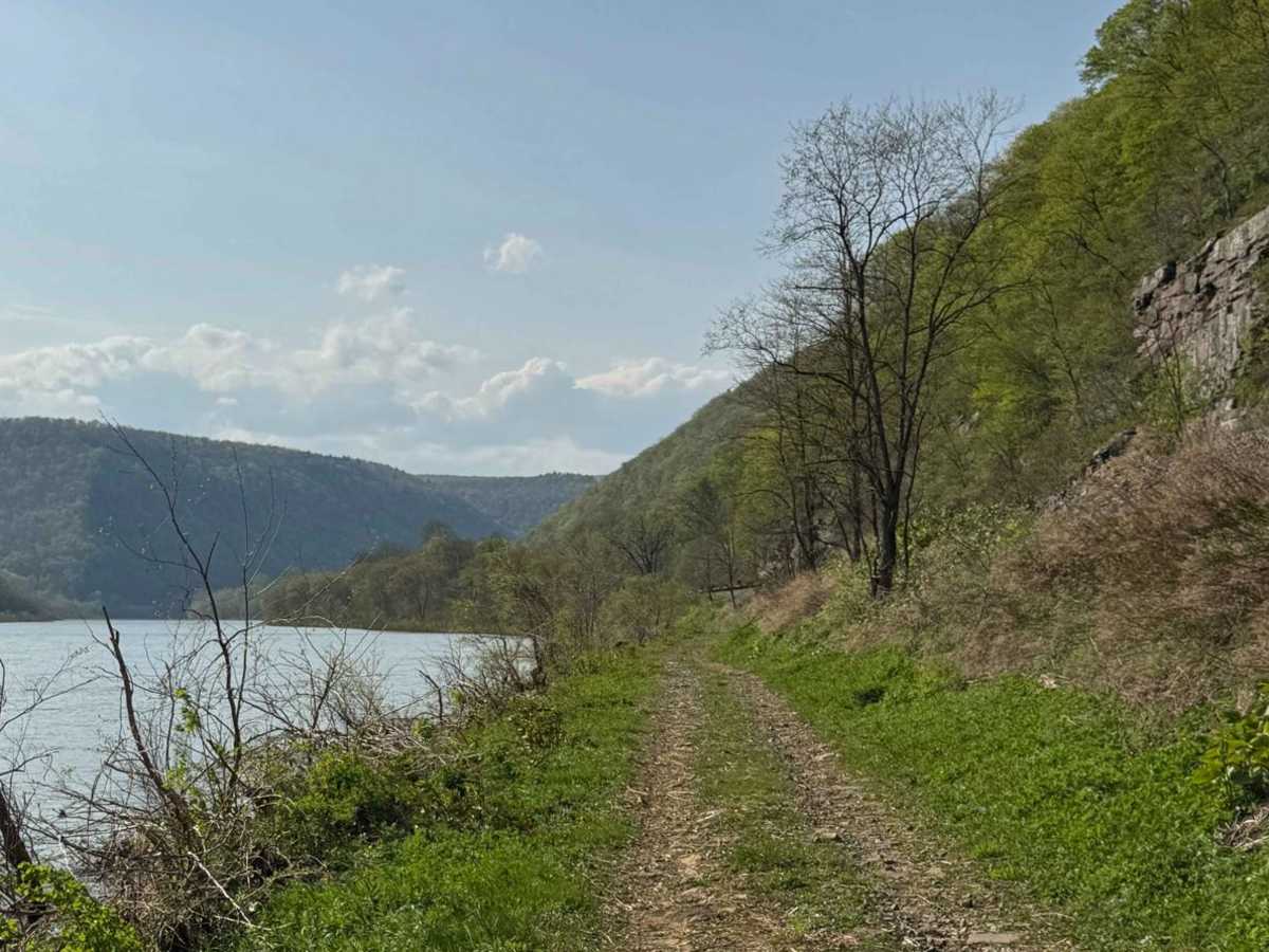 Hyner River Road photo 5
