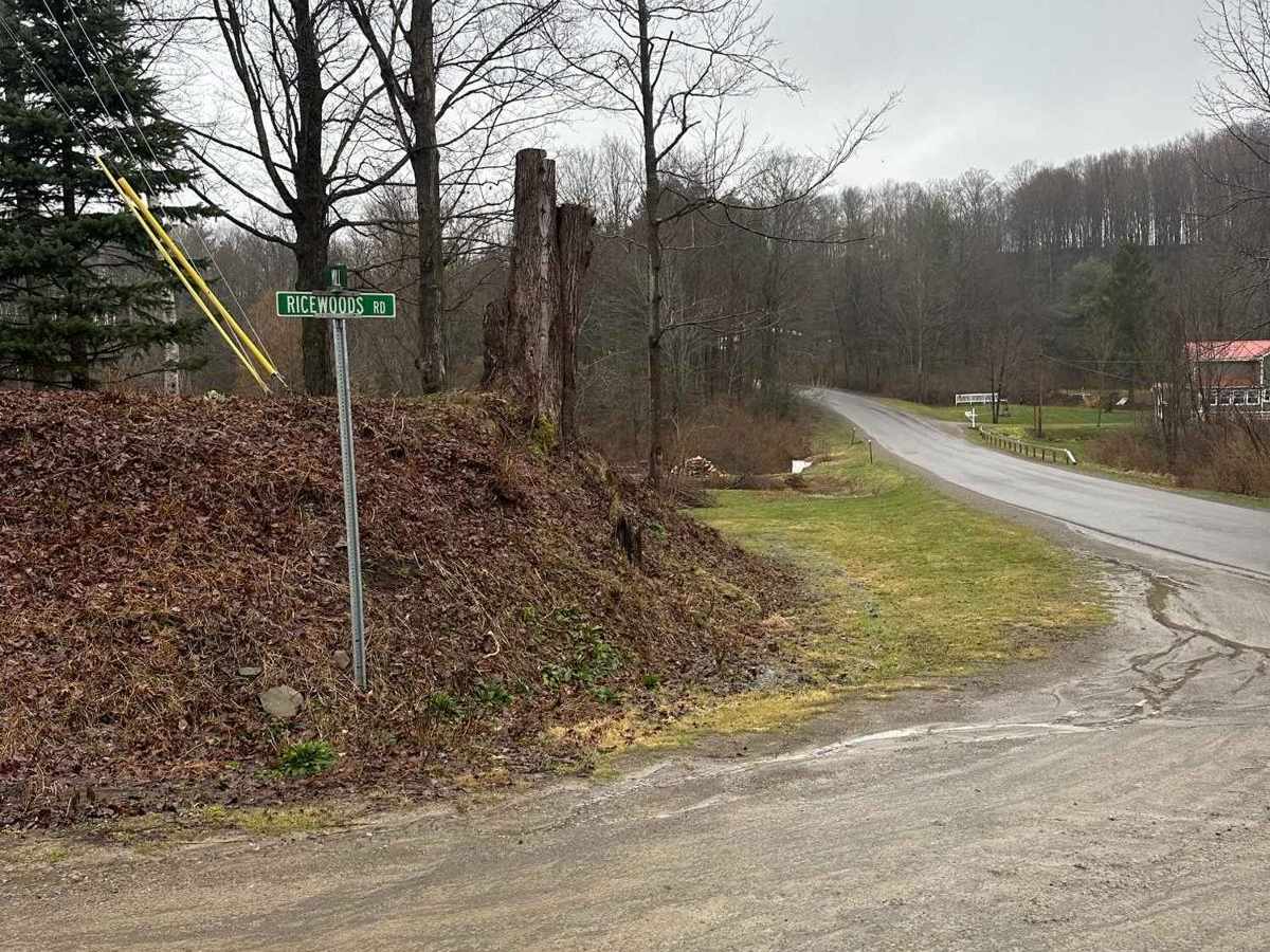 Ricewoods Road photo 6