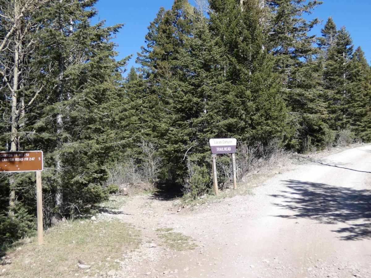Benson Ridge photo 5
