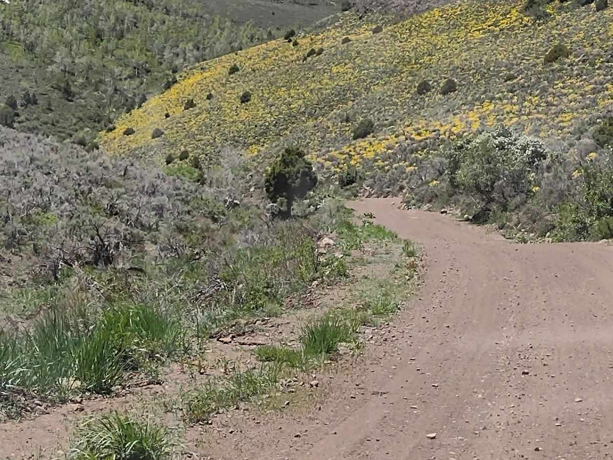 Pole Canyon Road trail photo