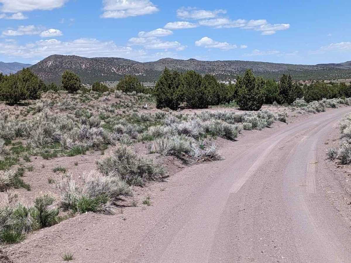 Baudino Ranch Road photo 2
